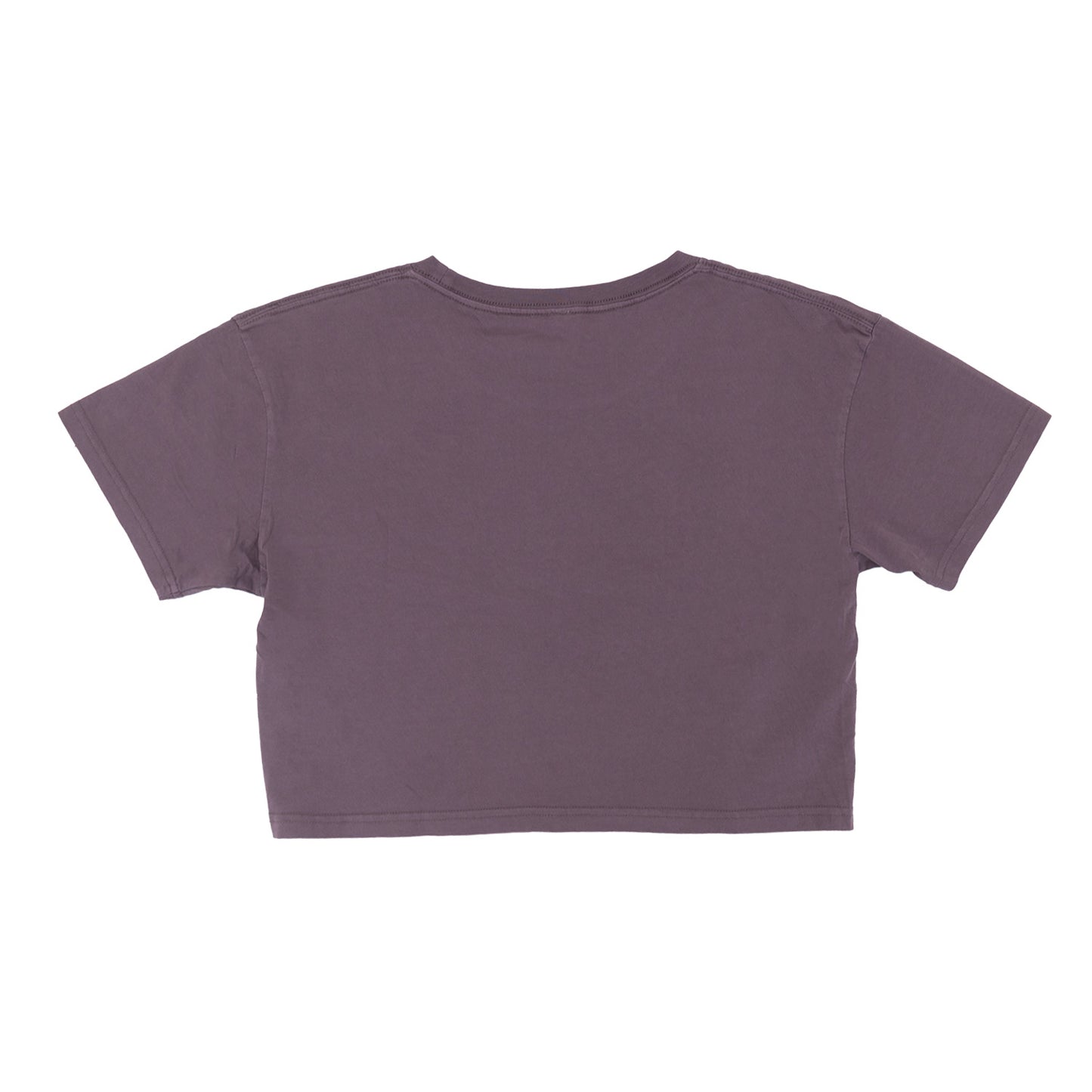 Golden Road Women's Mauve Crop Top